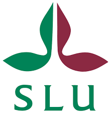 SLU